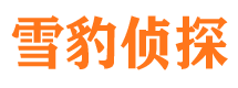 九龙市婚姻出轨调查